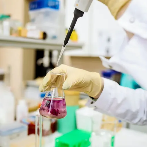 Ingeniería Bioquímica Industrial