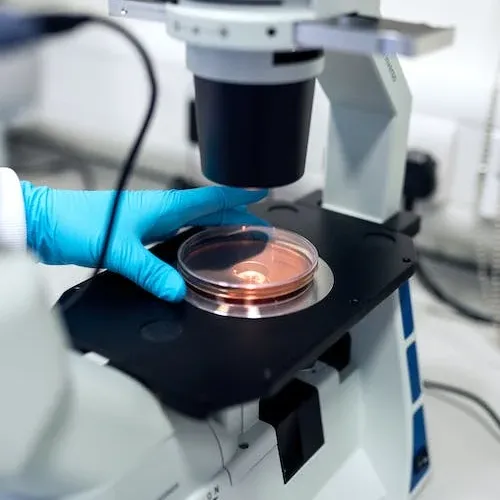 Biología Experimental